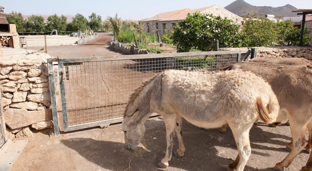 Agroturismo La Gayria Tiscamanita Eksteriør billede